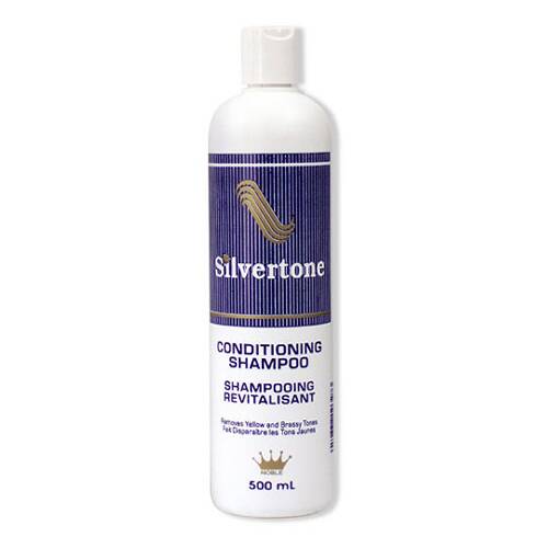 SHAM SILVERTONE DELON 500ML